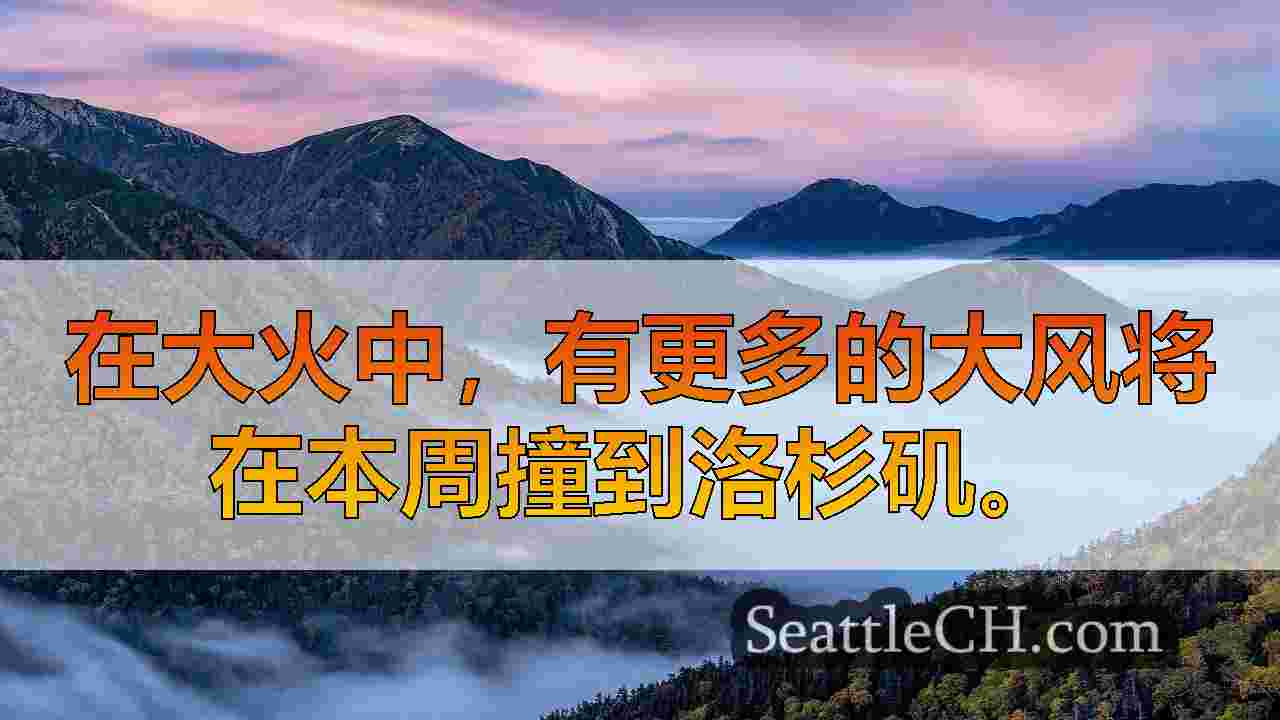 西雅图新闻 SeattleCH