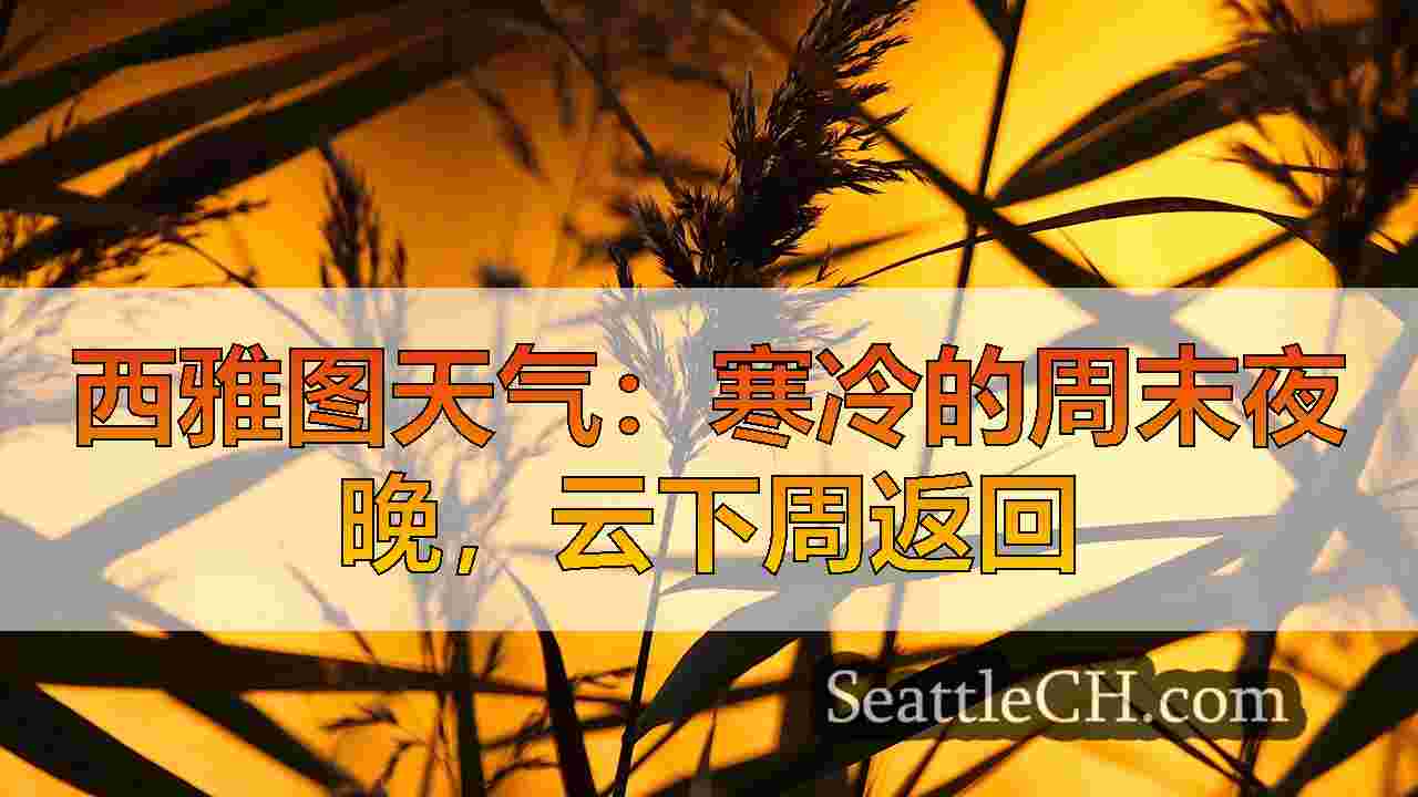 西雅图新闻 SeattleCH
