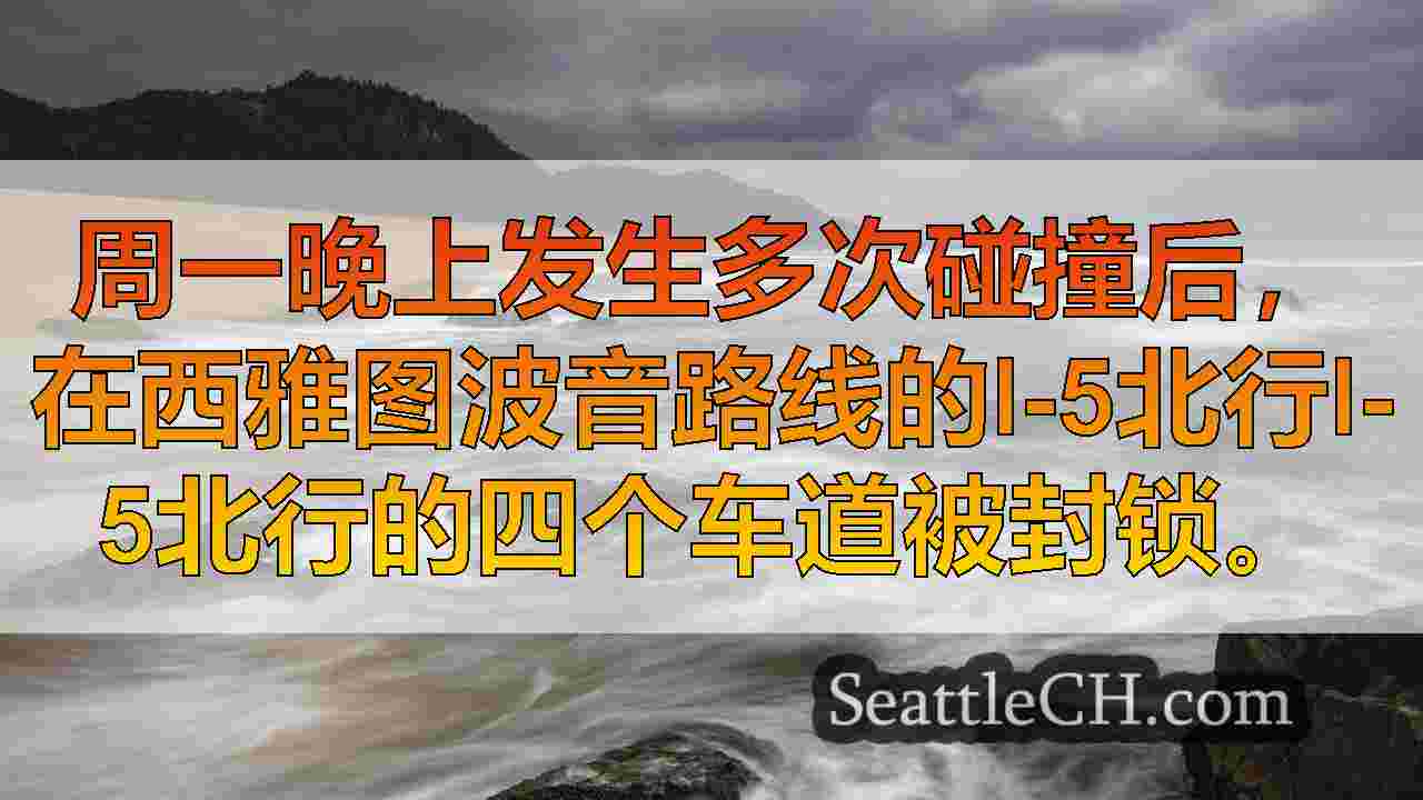 西雅图新闻 SeattleCH