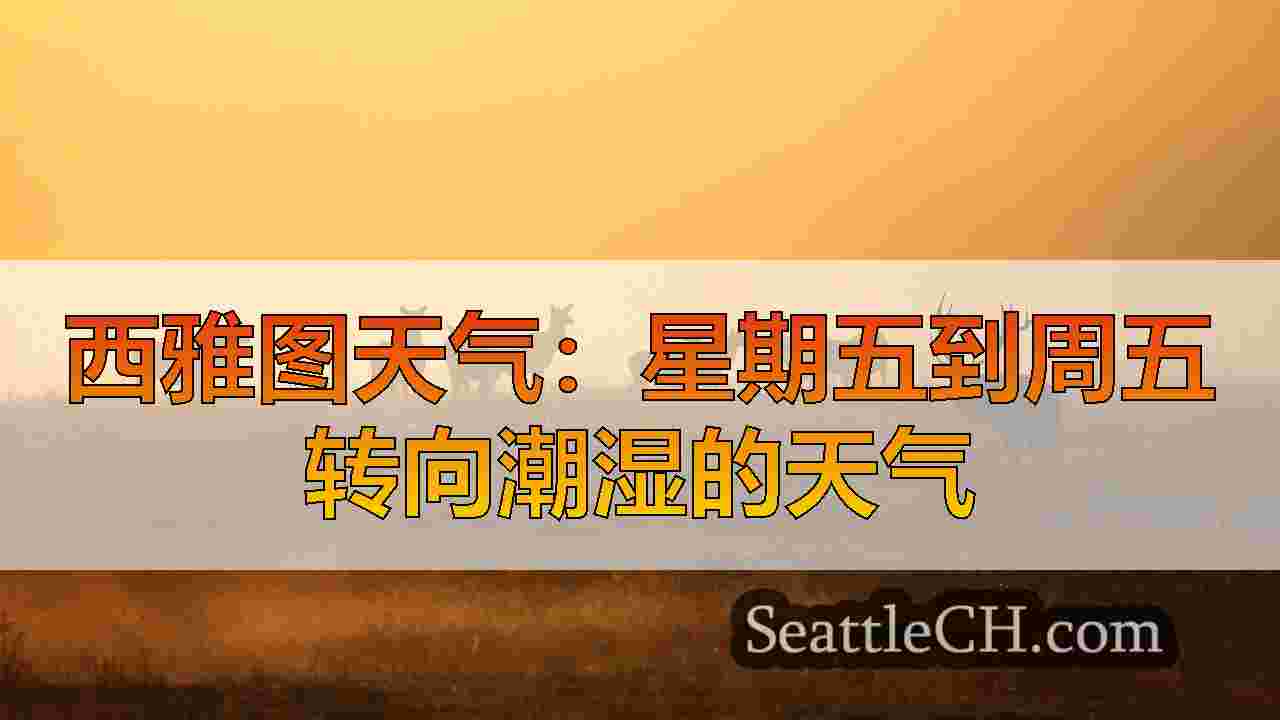 西雅图新闻 SeattleCH