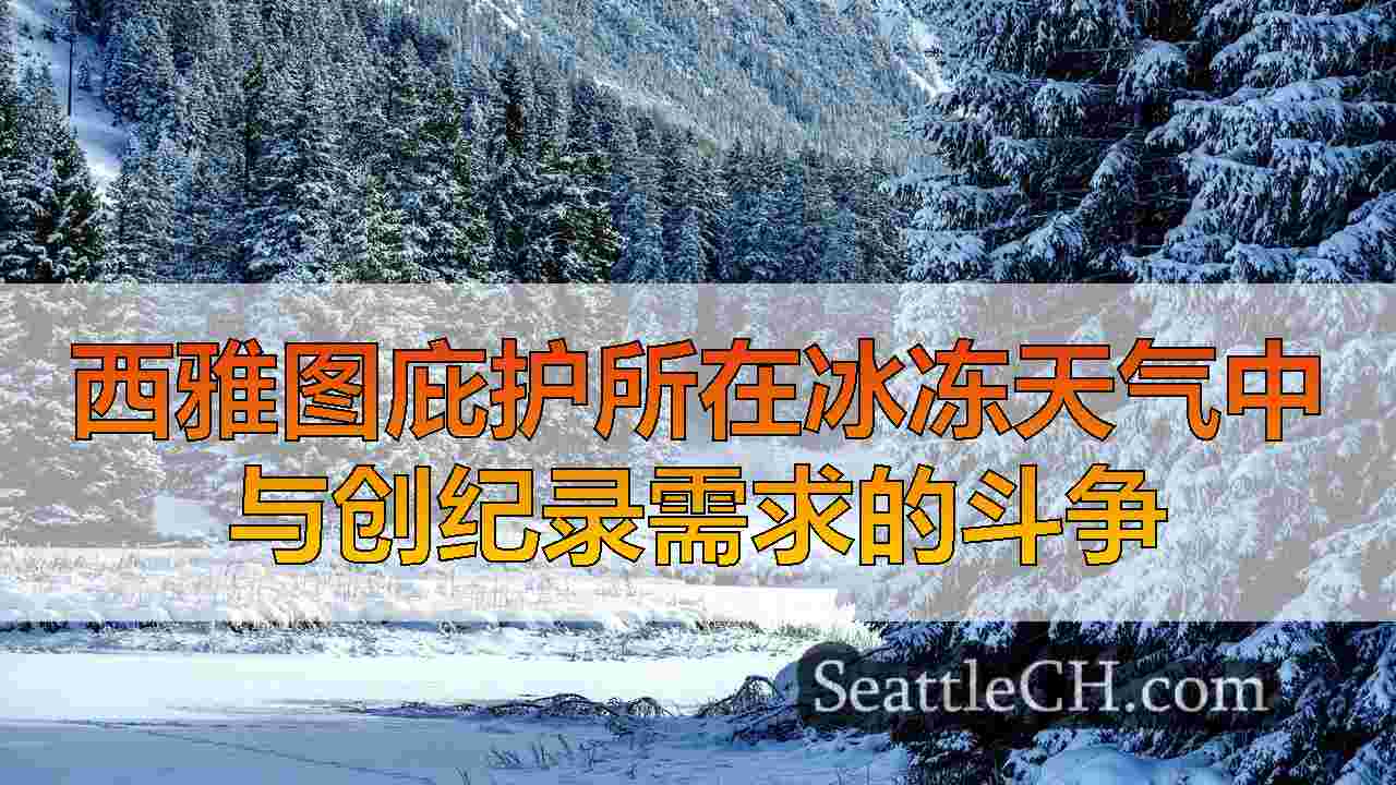 西雅图新闻 SeattleCH