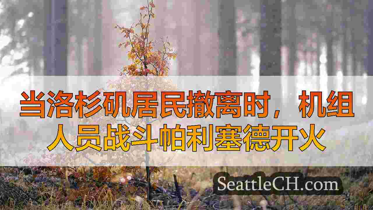 西雅图新闻 SeattleCH