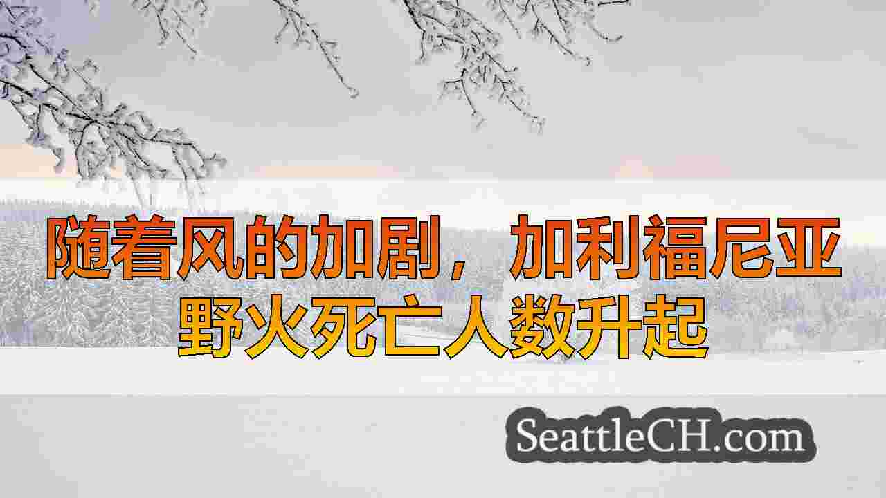 西雅图新闻 SeattleCH