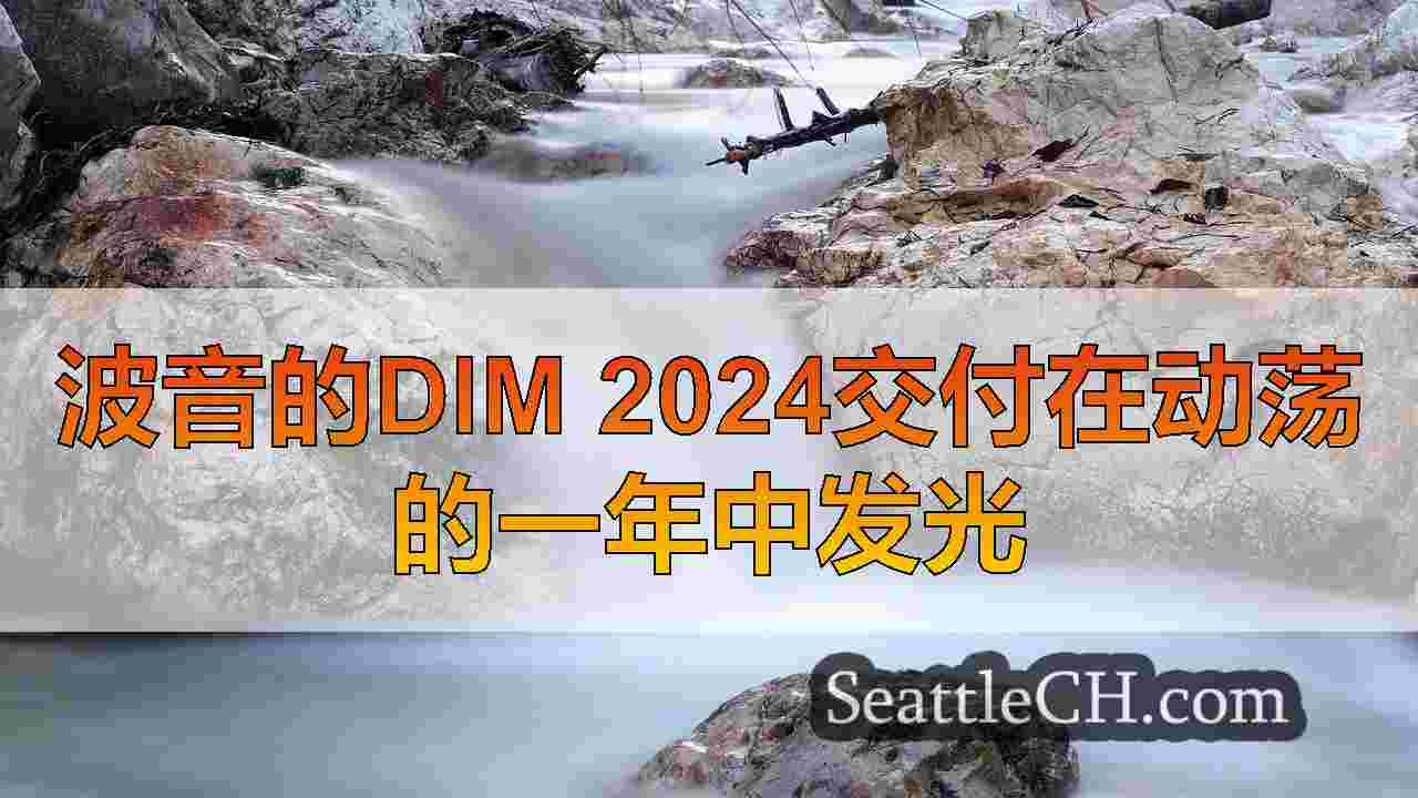 波音的DIM 2024交付在动荡的一年中发光