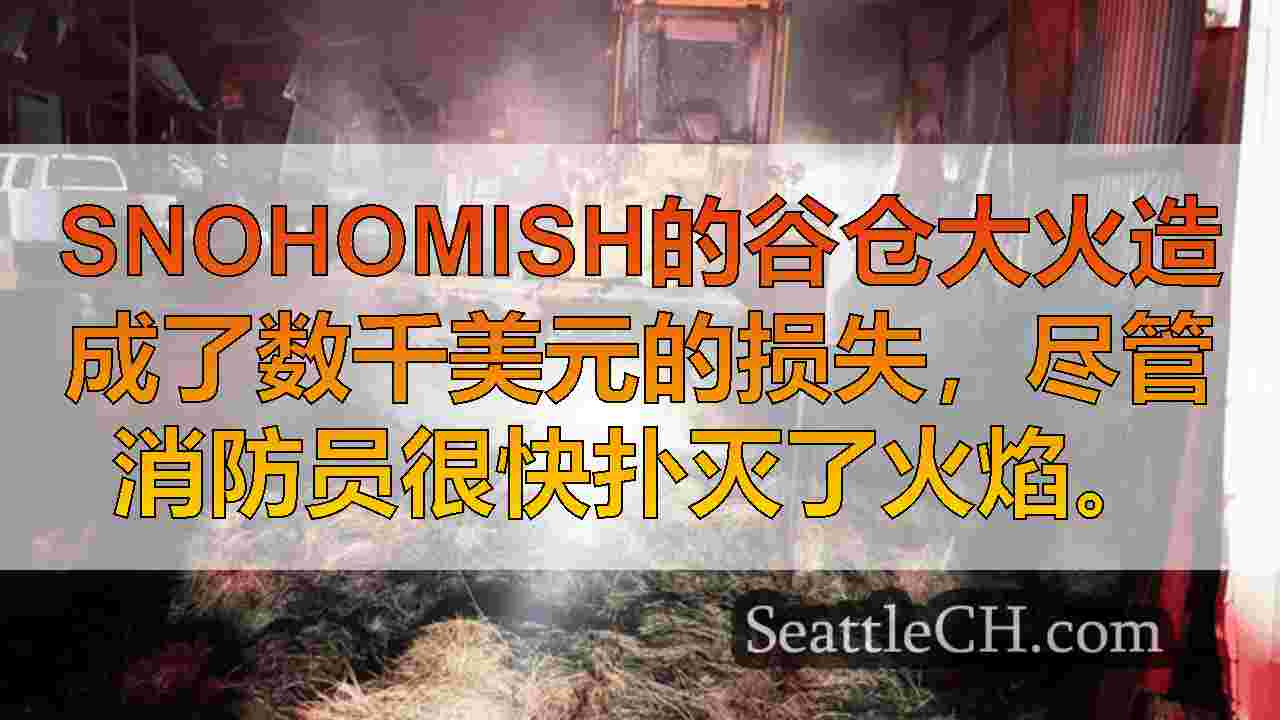 西雅图新闻 SeattleCH