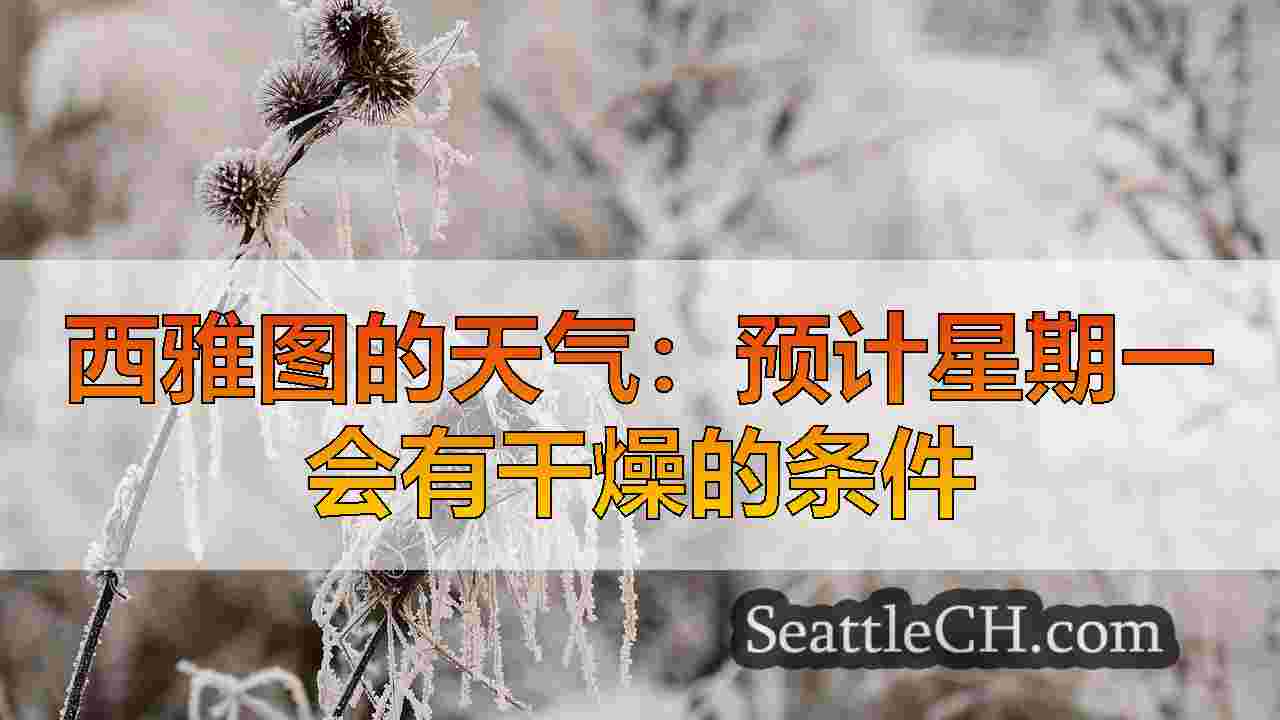 西雅图新闻 SeattleCH