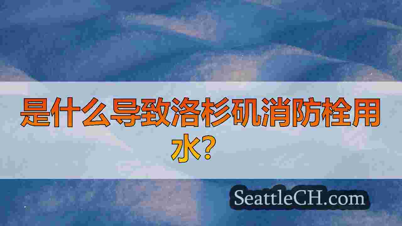 是什么导致洛杉矶消防栓用水？