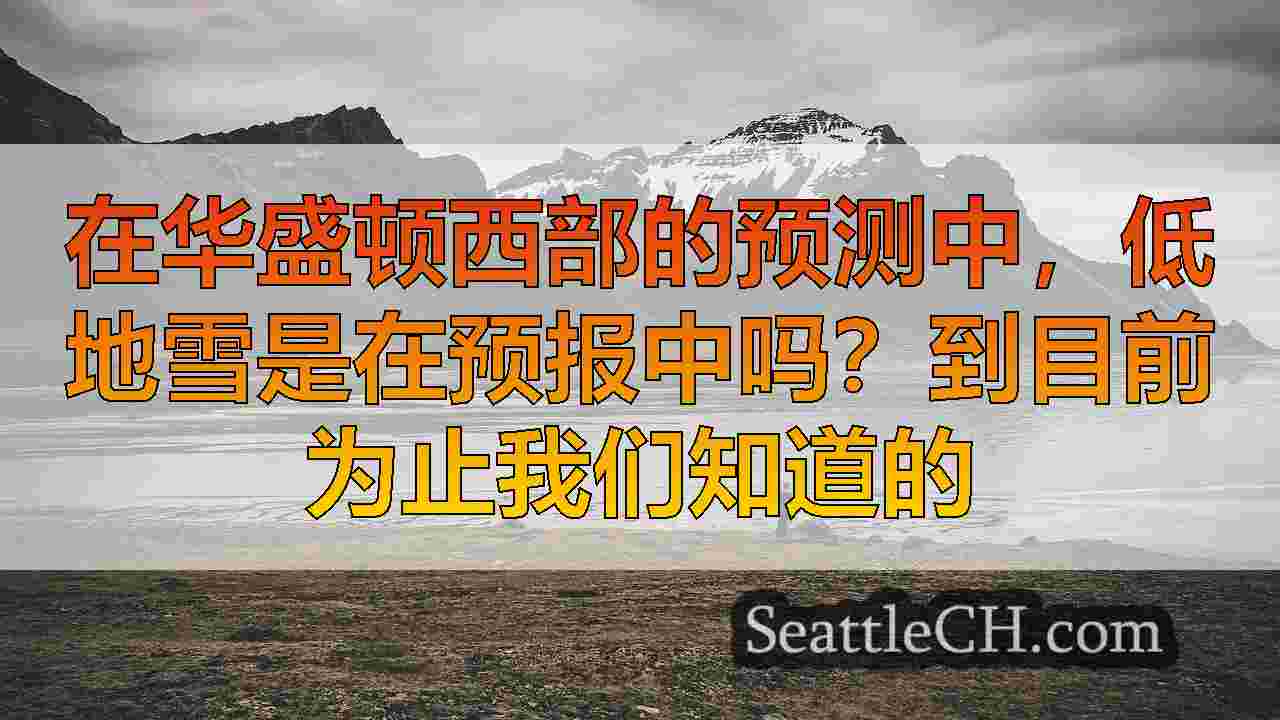 西雅图新闻 SeattleCH