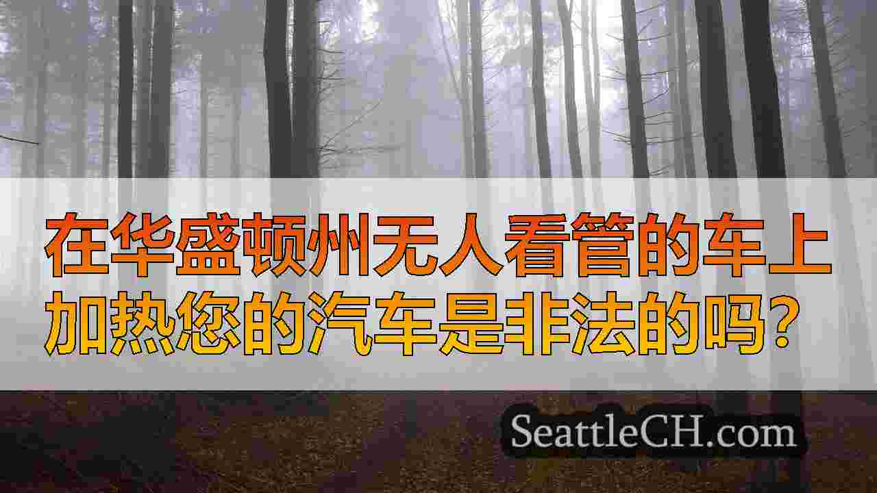 西雅图新闻 SeattleCH