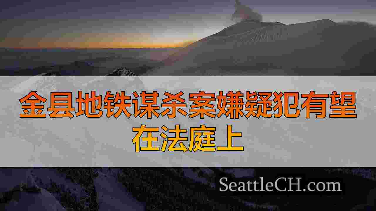 法官为嫌疑犯设定了500万美元的保释金