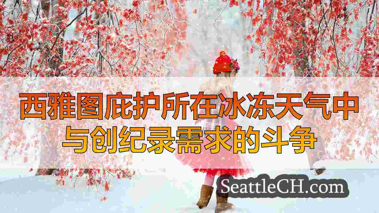 西雅图新闻 SeattleCH