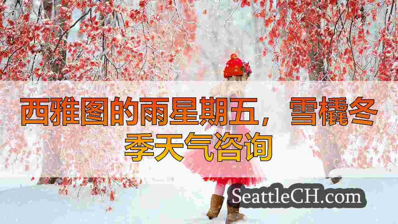 西雅图新闻 SeattleCH