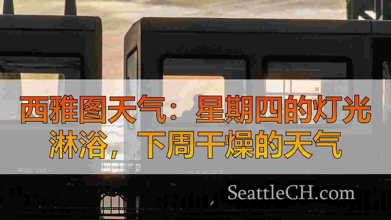 西雅图新闻 SeattleCH