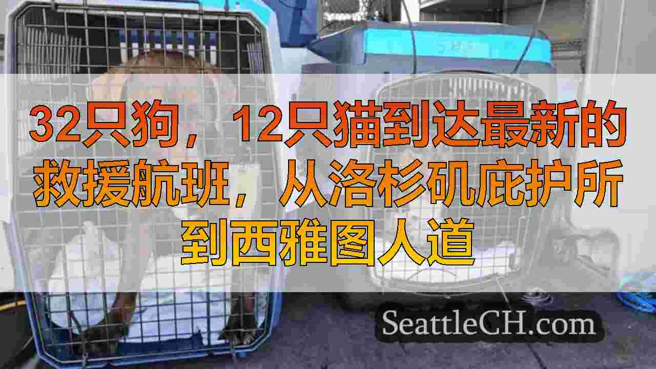 西雅图新闻 SeattleCH