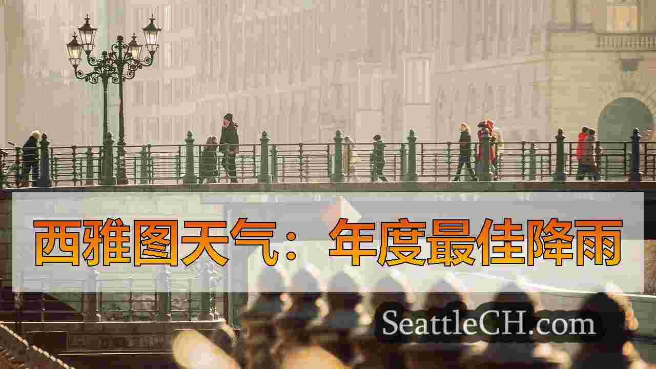 西雅图新闻 SeattleCH