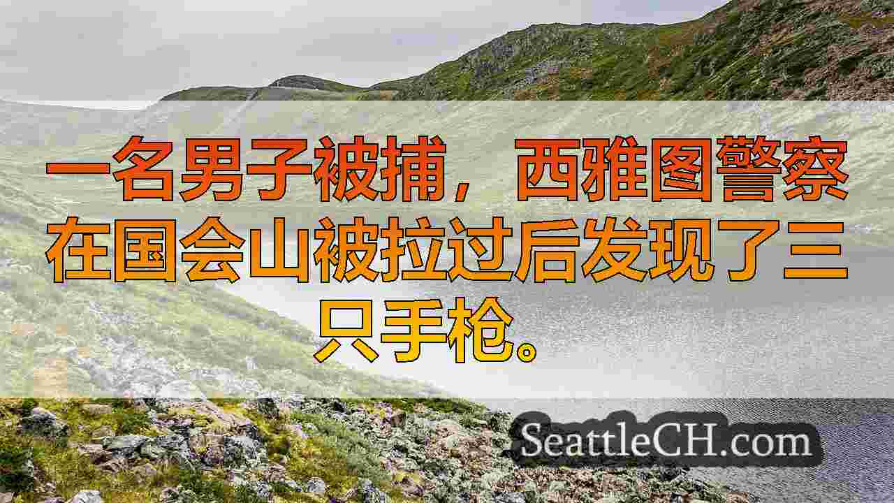 西雅图新闻 SeattleCH