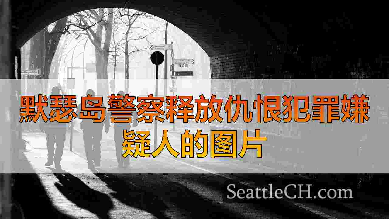 西雅图新闻 SeattleCH