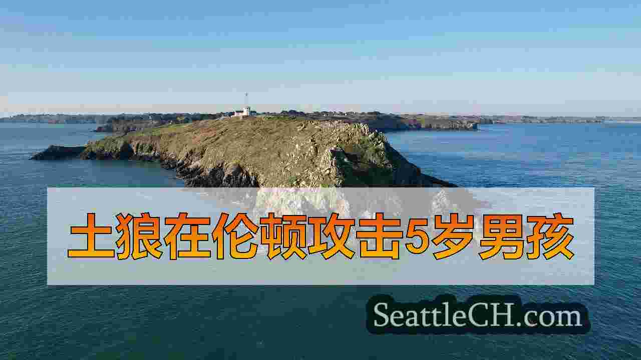 土狼在伦顿攻击5岁男孩