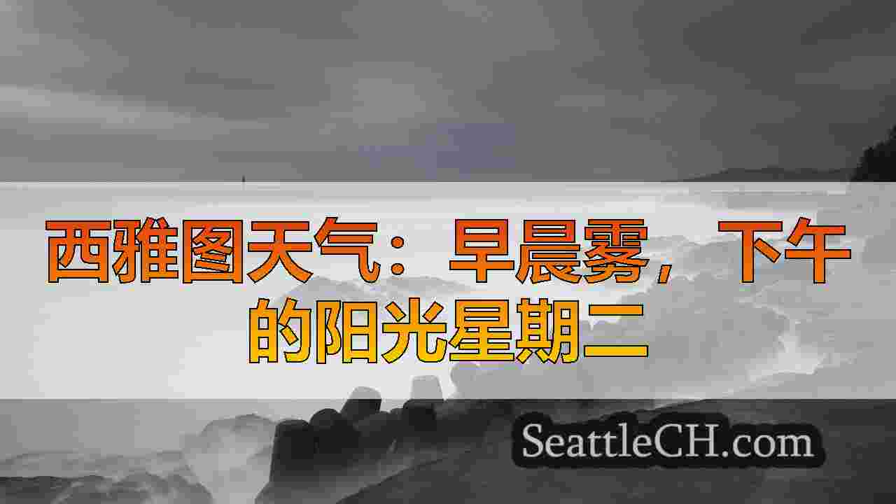 西雅图新闻 SeattleCH