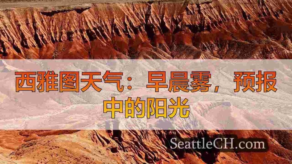 西雅图天气：这个周末的空气凉爽