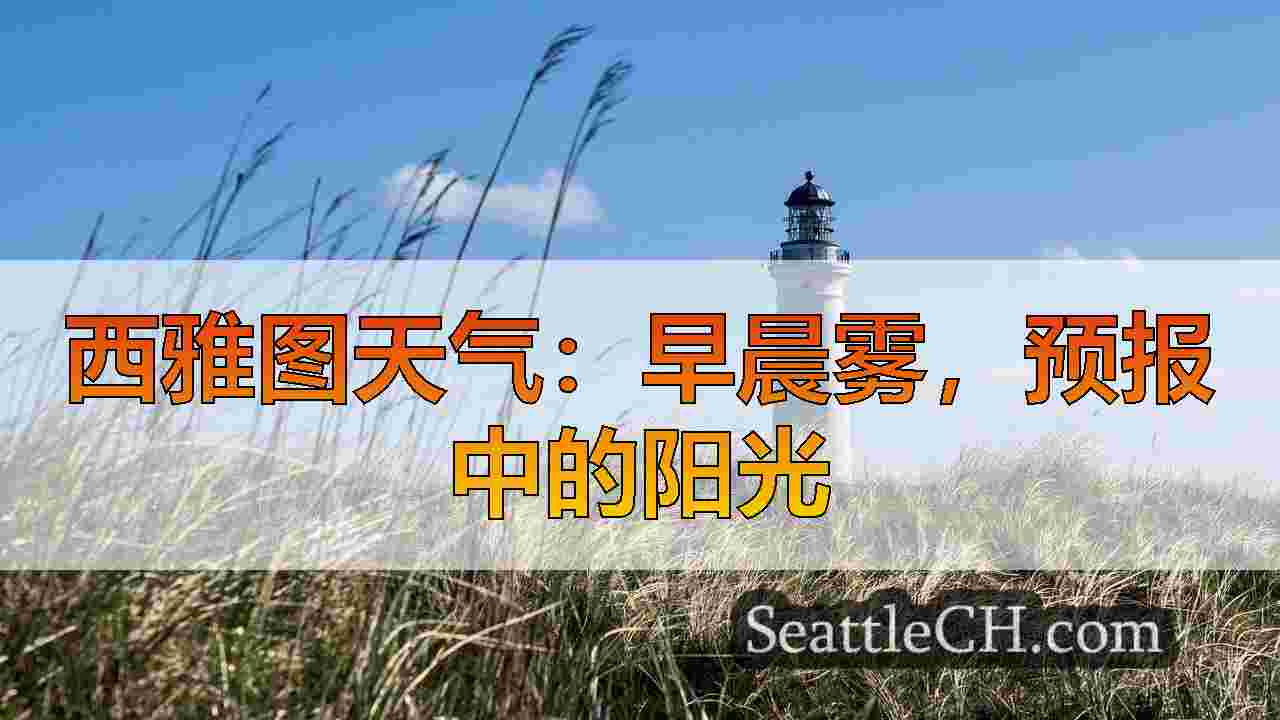 西雅图新闻 SeattleCH