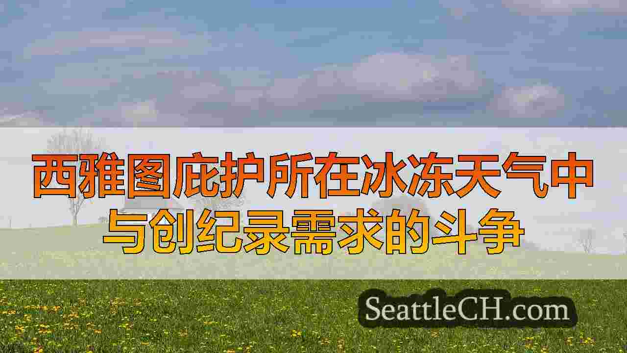 西雅图庇护所在冰冻天气中与创纪录需求的斗争
