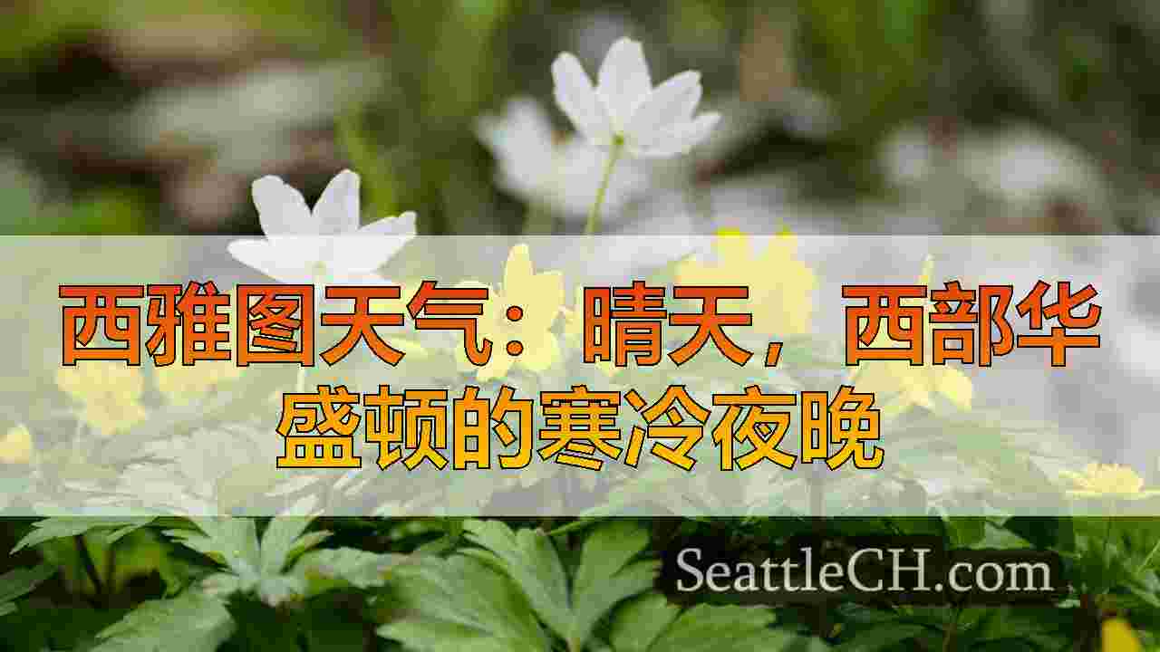 西雅图新闻 SeattleCH