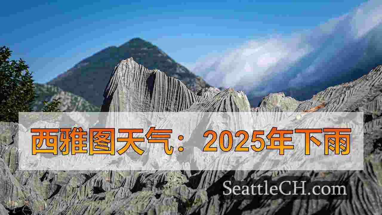 西雅图新闻 SeattleCH