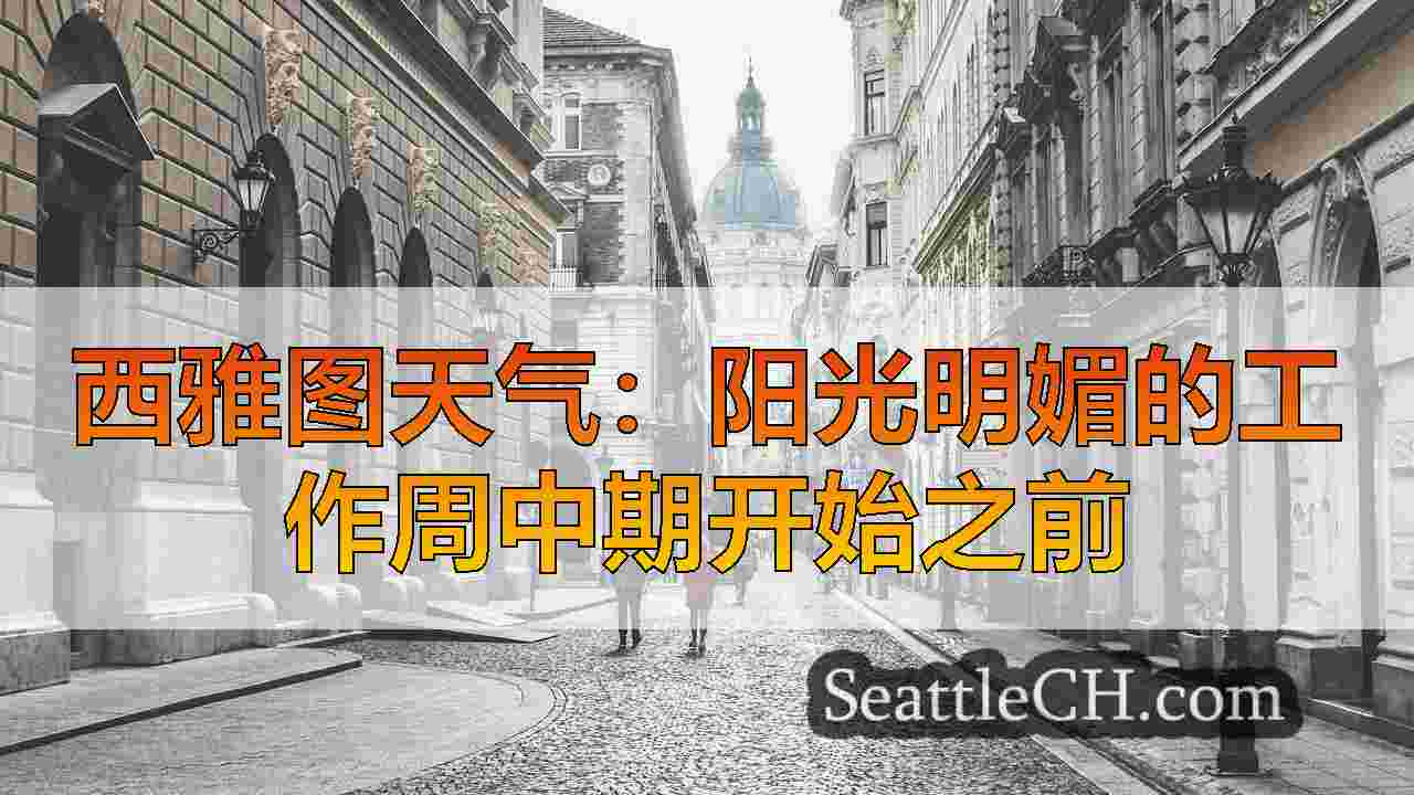 西雅图新闻 SeattleCH