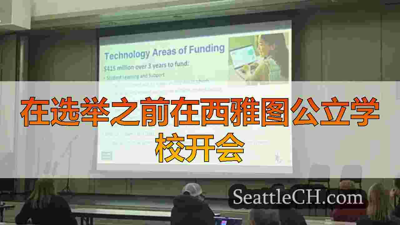 批评家说，SPS Capital Levy将导致“大型学校”和学校关闭