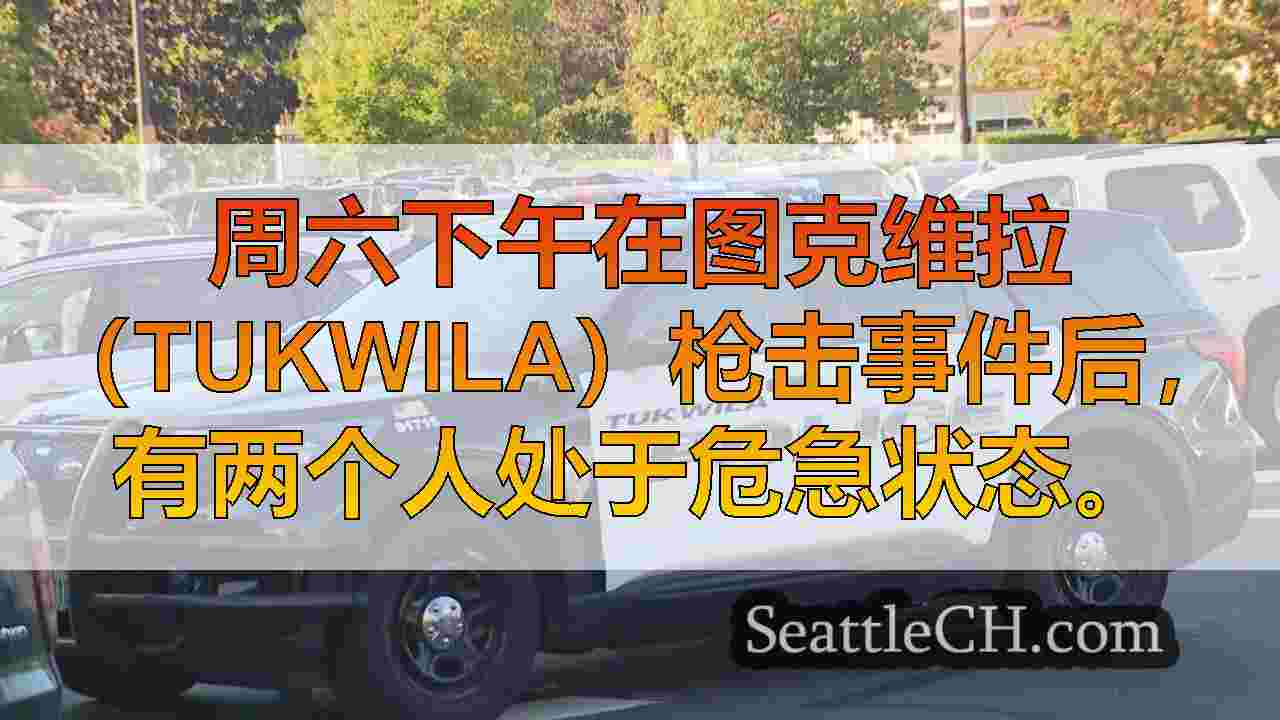 2在怀疑逃离图克维拉射击现场之后，剩下的2个处于危急状态