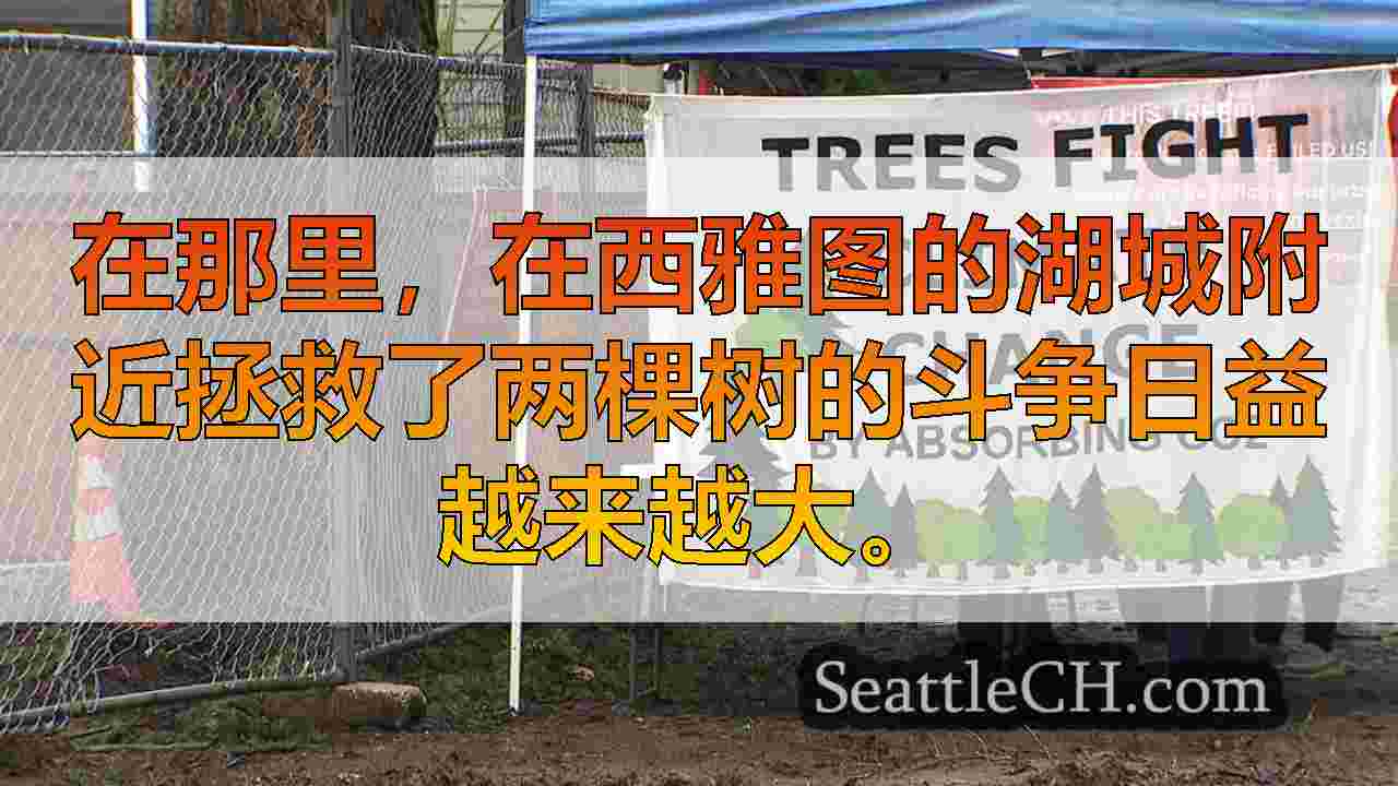 激进分子停止湖城去除树木，寻求与开发人员妥协以保护树木