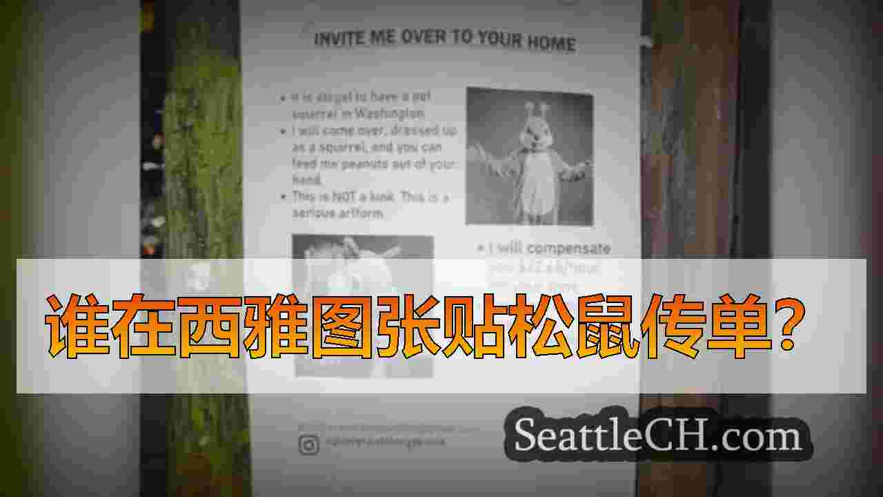谁在西雅图张贴松鼠传单？