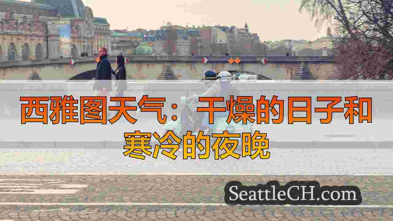西雅图新闻 SeattleCH