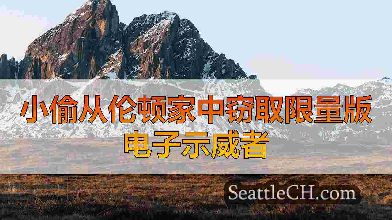 西雅图新闻 SeattleCH