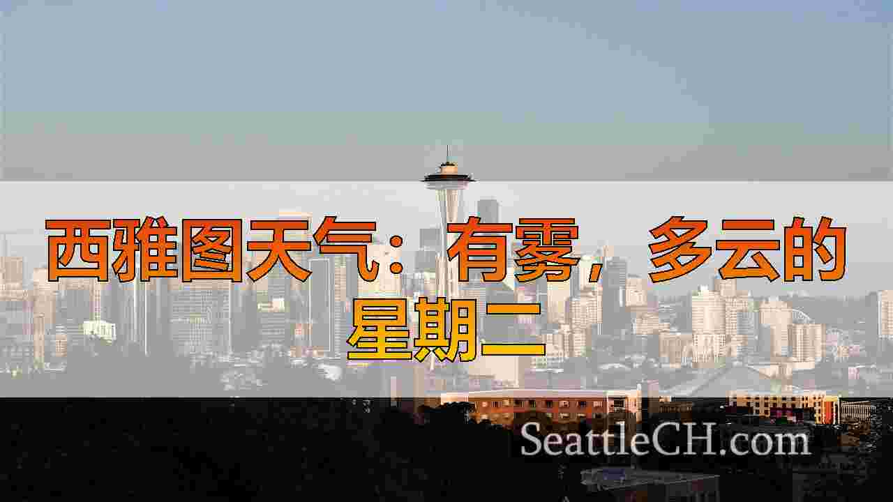 西雅图天气：凉爽而干燥的一周