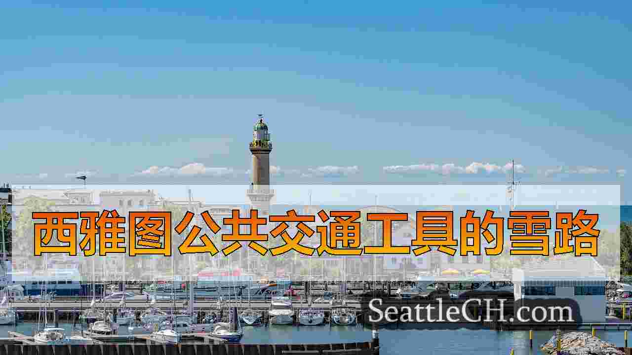 西雅图新闻 SeattleCH