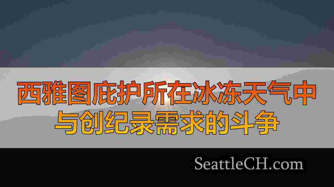 西雅图庇护所在冰冻天气中与创纪录需求的斗争