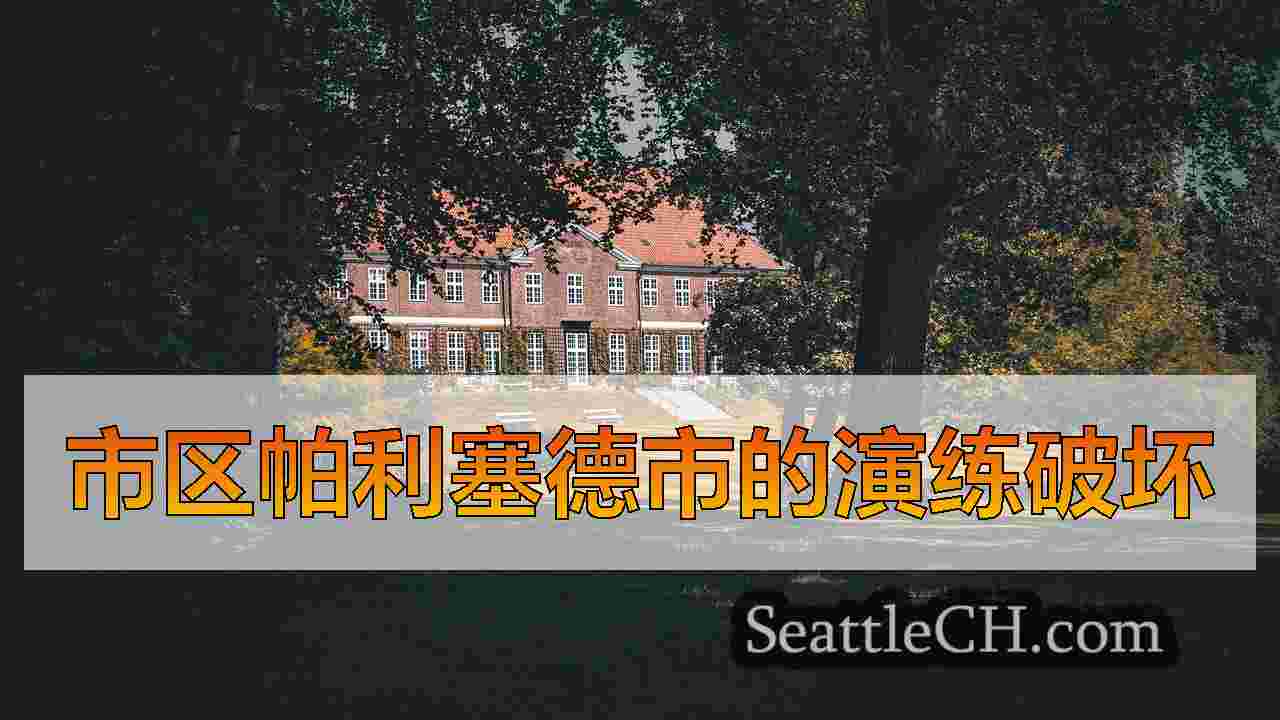 照片：日落林荫大道上帕利塞德市中心野火毁灭的行车