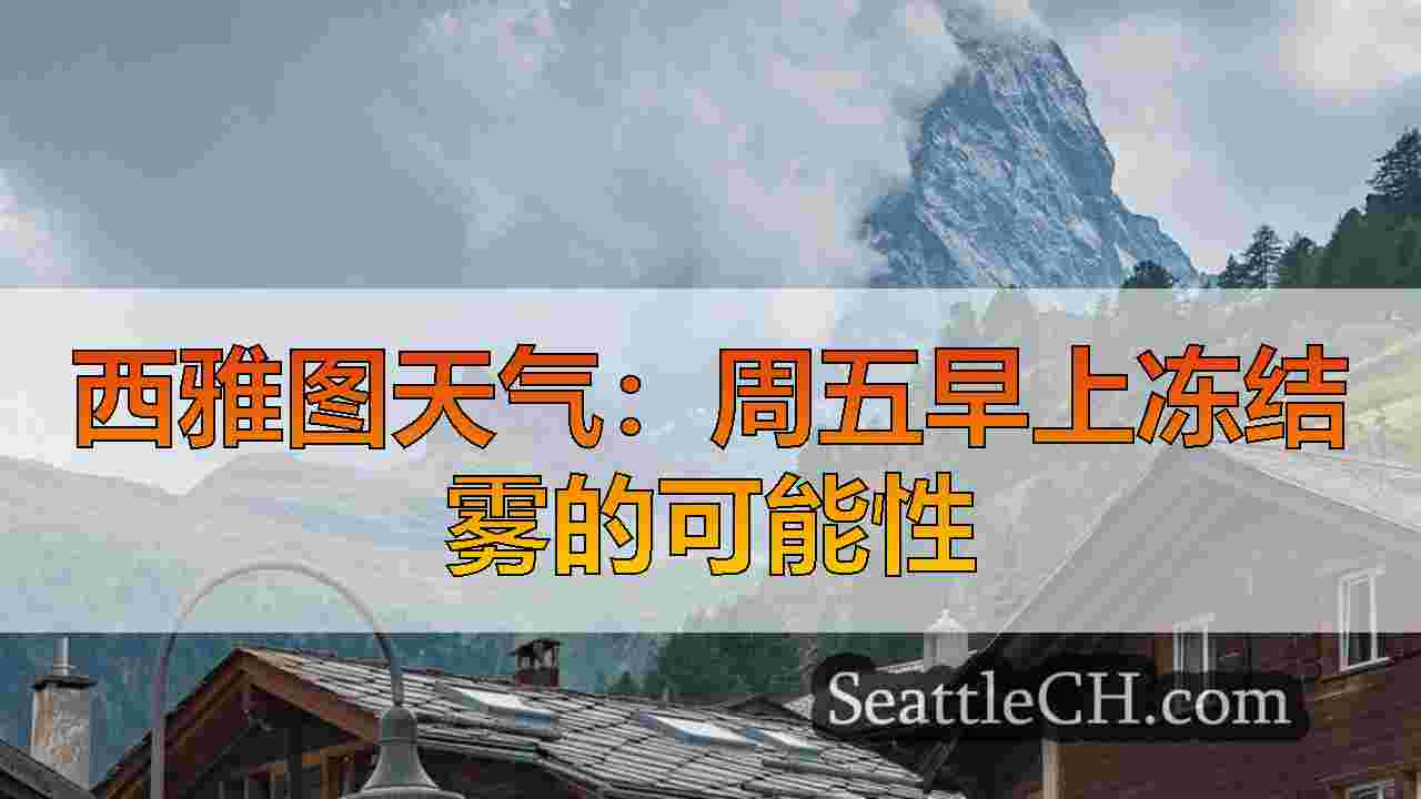 西雅图新闻 SeattleCH
