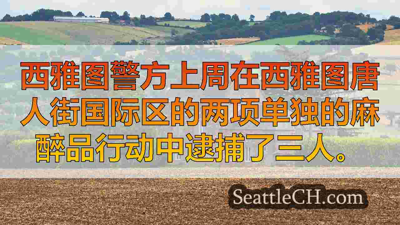 西雅图新闻 SeattleCH