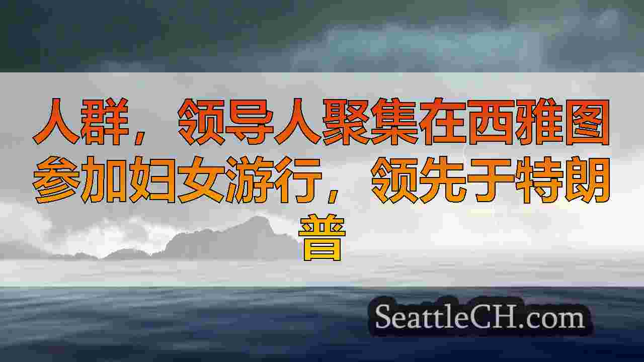 人群，领导人聚集在西雅图参加妇女游行，在特朗普就职之前