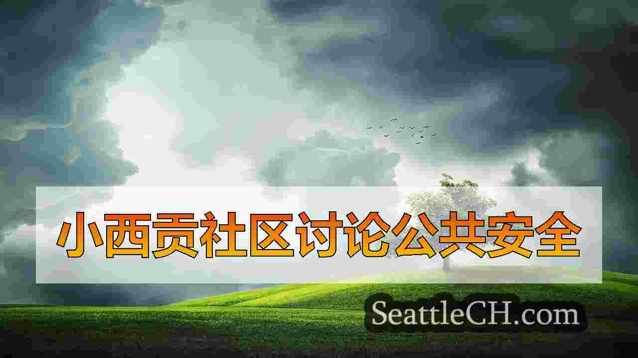 从毒品到刺伤，几乎没有西贡寻求帮助和资源