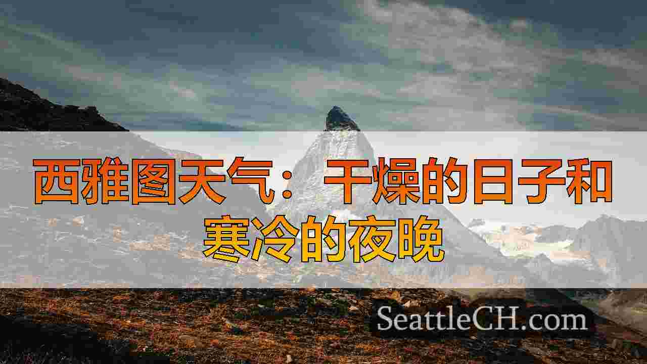 西雅图新闻 SeattleCH