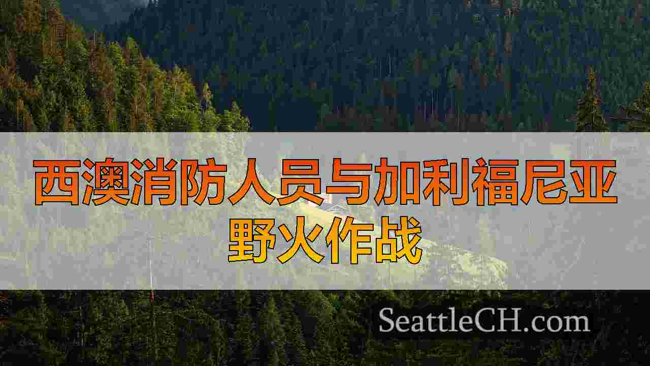 西雅图新闻 SeattleCH