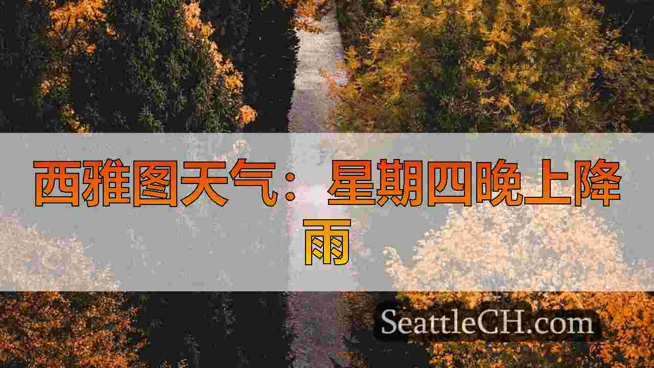 西雅图新闻 SeattleCH
