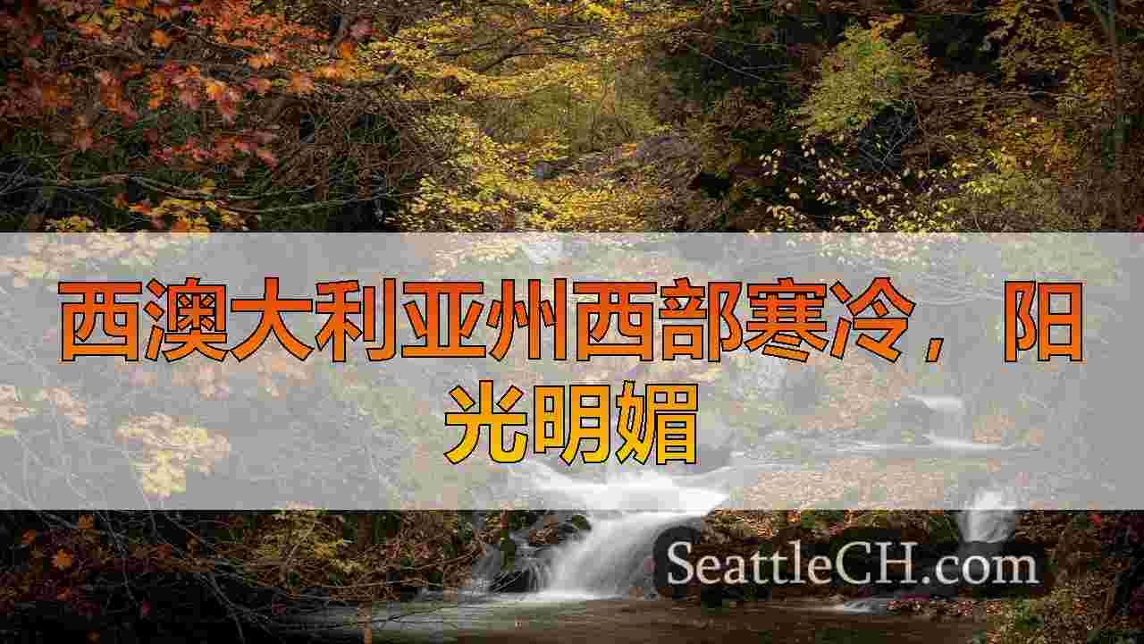 西雅图新闻 SeattleCH