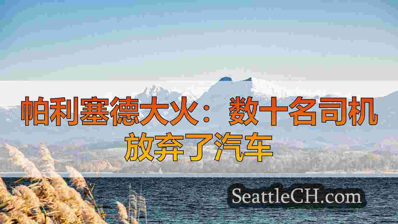 帕利塞德（Palisades
