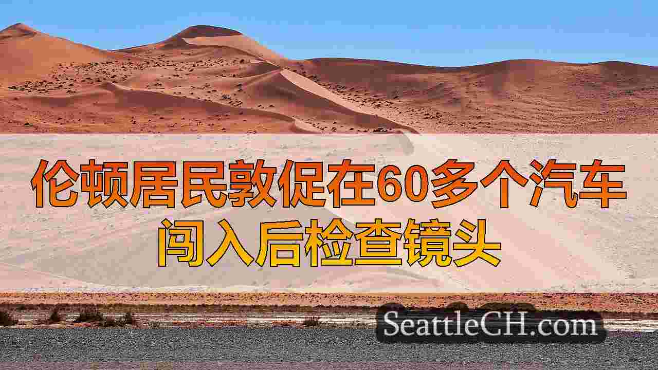 西雅图新闻 SeattleCH