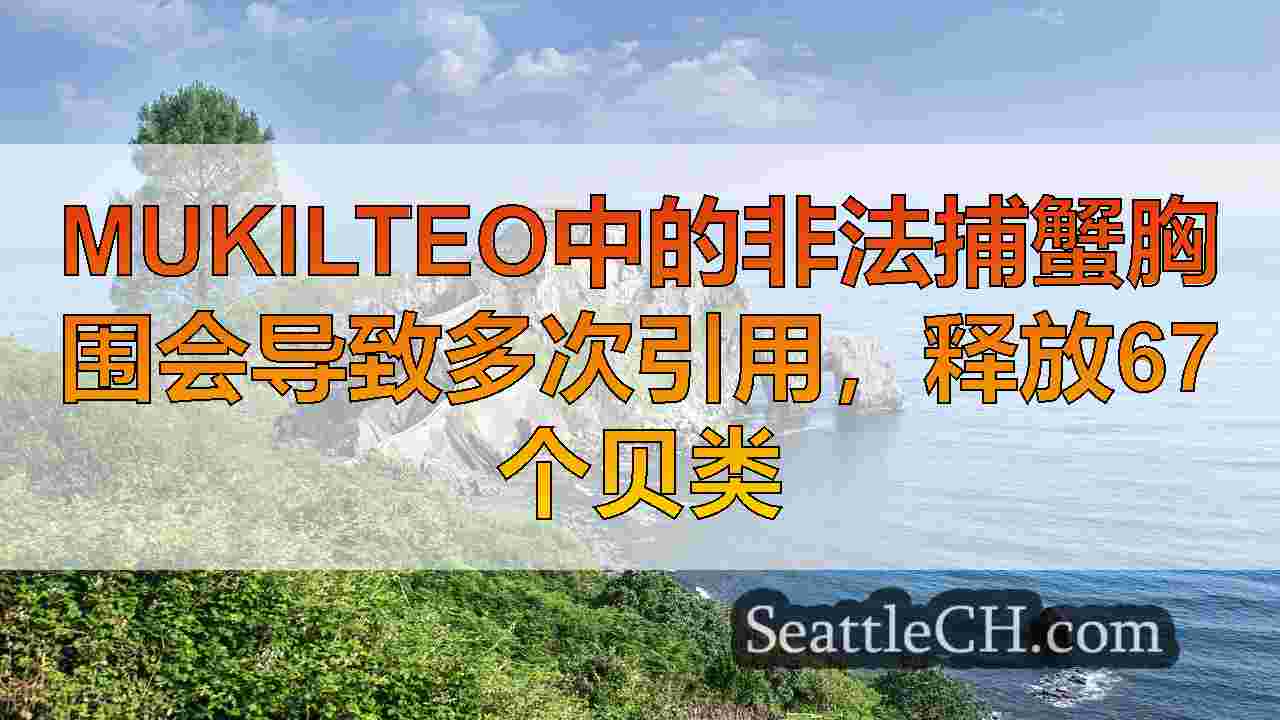 西雅图新闻 SeattleCH